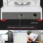 RUISHAN 100g Digital Lab Milligram Scale