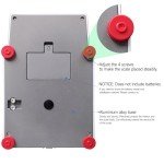 RUISHAN 100g Digital Lab Milligram Scale