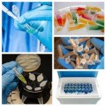 500 Pack 1.5ml Microcentrifuge PCR Tubes, Graduated