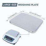 U.S. Solid 2000g Digital Lab Scale Balance