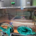 Single Laminar Flow Lab Fume Hood Glovebox