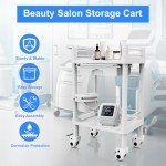 2-Tier Rolling Utility Cart with Drawer & Bin