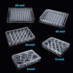 48 Well Sterile Bacterial Culture Dishes, Pack of 10