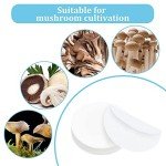 100PCS 90mm Synthetic Filter Discs for Lab Use