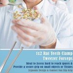 Stainless Steel 8-Inch Blunt Dissecting Forceps