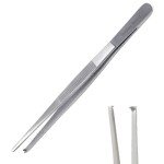 Stainless Steel 8-Inch Blunt Dissecting Forceps