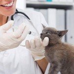 DFYOUHOME 60ml & 20ml Plastic Syringes Set