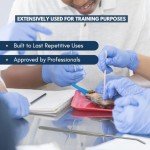 Stainless Steel Dissecting Probe and Seeker Tool