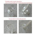 Clear Glass Vials with Screw Caps - 50PCS