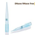 500µL Universal Pipette Tips - RNase/DNase Free