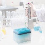 500µL Universal Pipette Tips - RNase/DNase Free