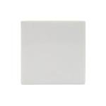 EISCO Streak Plate for Testing Rocks and Specimens