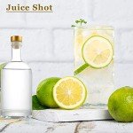 10-Pack 3 oz Glass Bottles with Lids