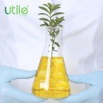 Glass Erlenmeyer Flask Set - 250ml, 500ml, 1000ml