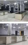 Wall-Mounted Laboratory Exhaust Snorkel Fume Hood