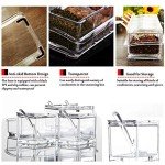 Clear 4-Piece Spice Storage Container Set