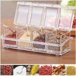 Clear 4-Piece Spice Storage Container Set