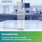 Drosophila Observation Vials - 500 Pack