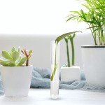 120 Plastic Test Tubes with Lids and Rack