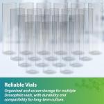 Drosophila Observation Vials - 500 Pack