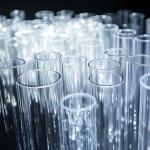 Drosophila Observation Vials - 500 Pack