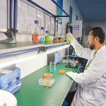 Cork Stand for Round Bottom Laboratory Flasks