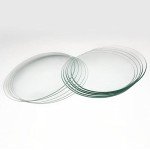 Stonylab 10-Pack 100mm Borosilicate Watch Glasses