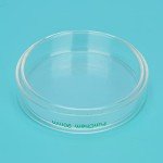 Autoclavable Glass Petri Dishes, Pack of 10