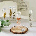 Clear Plastic Test Tubes with Caps - 36 Pack