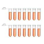 200 Pack of 2ml Clear Centrifuge Tubes
