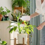 TOOTO 6-Pack 16 oz Lab Squeeze Wash Bottles