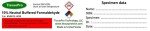 Buffered Formalin 10% Solution - Pack of 2