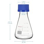 StonyLab 100ml Erlenmeyer Flask with Blue Cap