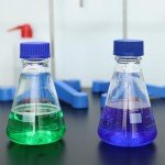 StonyLab 100ml Erlenmeyer Flask with Blue Cap