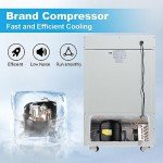 -86°C Ultra-Low Temperature Cryogenic Freezer 30L
