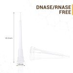 Universal 0.5-10µL Pipette Tips - Sterile, RNase/DNase Free