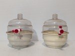 Set of 2 Space Saver Vacuum Desiccators