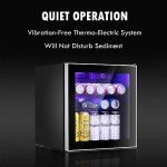 Mini Beverage Fridge Cooler for Home & Office