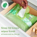 McKesson Aloe & Vitamin E Flushable Wet Wipes