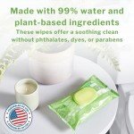McKesson Aloe & Vitamin E Flushable Wet Wipes