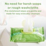 McKesson Aloe & Vitamin E Flushable Wet Wipes