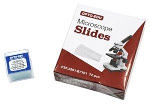 Microscope Slides and Square Cover Glass Set