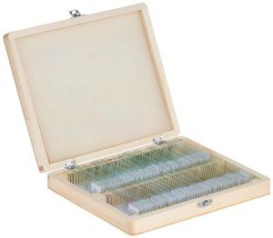 Celestron Prepared Microscope Slides - 100 Pack