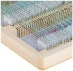 Celestron Prepared Microscope Slides - 100 Pack