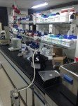250ml Plastic Empty Lab Reagent Bottles - 1Pc