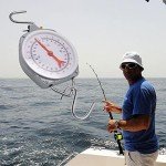 Hanging Dial Scale - 440lbs Mechanical for Kitchen & Fishing
