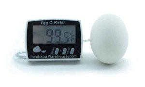 Large Digital Egg Thermometer with Min/Max Memory