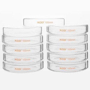 XCD 10-Pack Glass Petri Dishes with Clear Lids