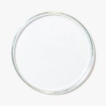 XCD 10-Pack Glass Petri Dishes with Clear Lids