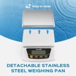Bonvoisin Digital Scale - 6000g Precision Balance